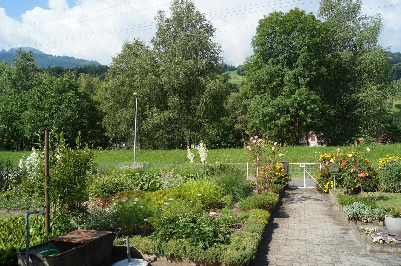 Schils